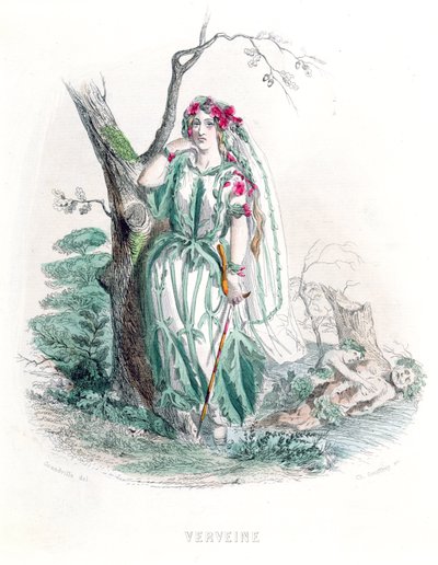 The Vervain, from 